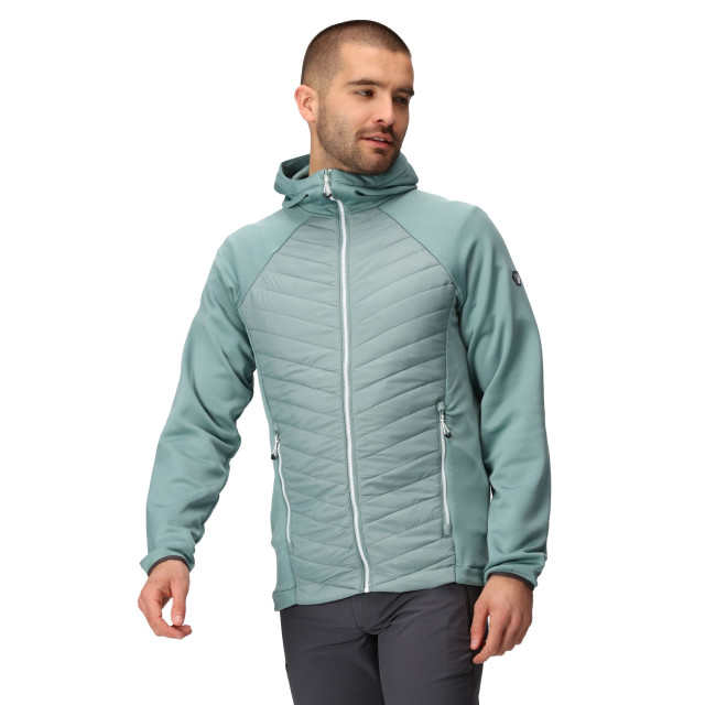 Regatta Heren andreson vii hybride lichtgewicht gewatteerde jas UTRG8078_ivymoss large Regatta Heren andreson vii hybride lichtgewicht gewatteerde jas UTRG8078_ivymoss large
