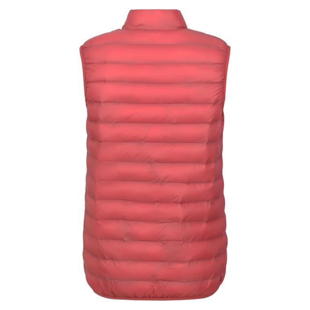 Regatta Dames marizion gilet UTRG9438_mineralredrumbared large