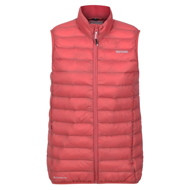 Regatta Dames marizion gilet UTRG9438_mineralredrumbared large
