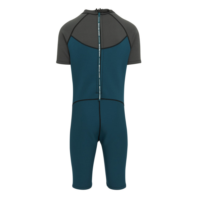 Regatta Heren kort wetsuit UTRG7776_greymoroccanblue large
