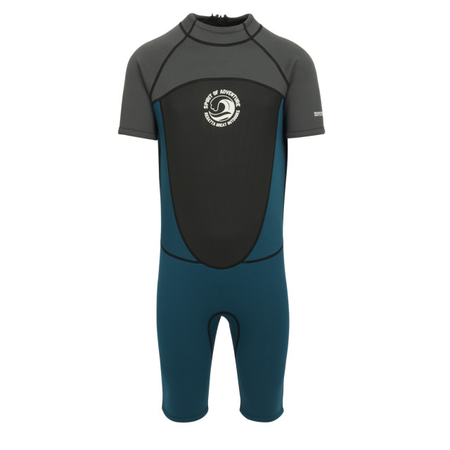 Regatta Heren kort wetsuit UTRG7776_greymoroccanblue large