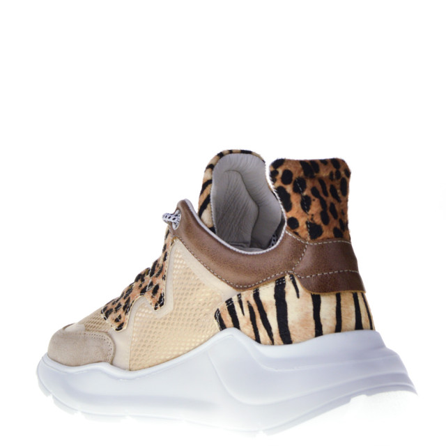Cetti Sneakers  large