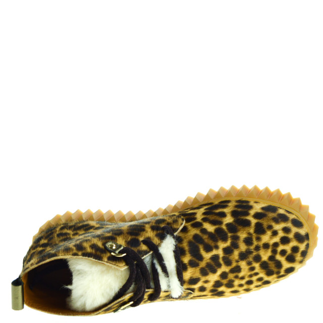 Voile Blanche Dames veterschoenen leopard  large