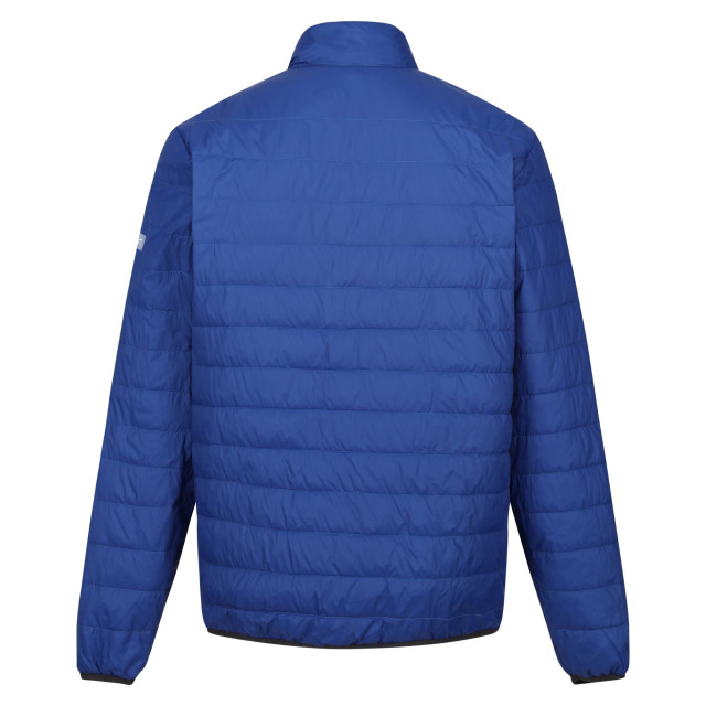 Regatta Hillpack gewatteerd geïsoleerd jasje heren UTRG6350_newroyalstrongblue large