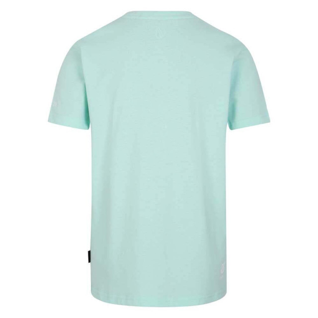 Dare2b Kinderen trailblazer ii tijger t-shirt UTRG9901_mintgreen large