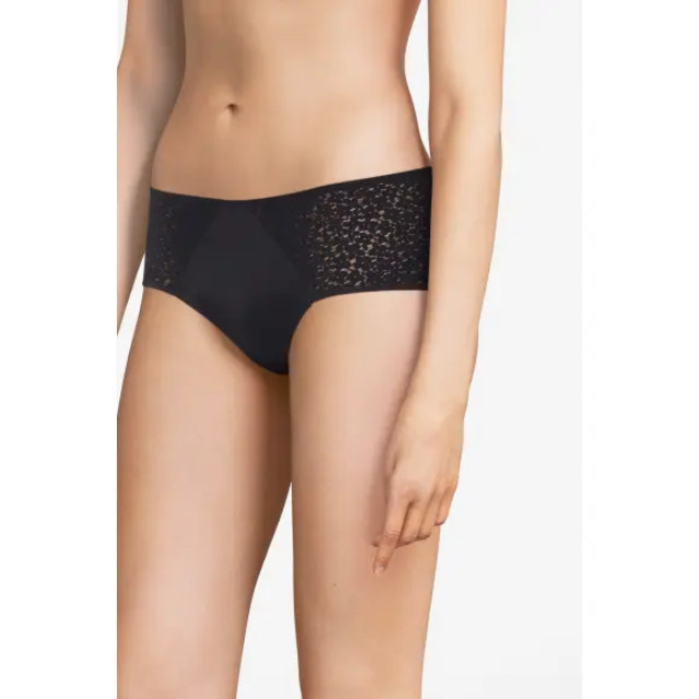 Chantelle Norah brief covering horty C13F40 large