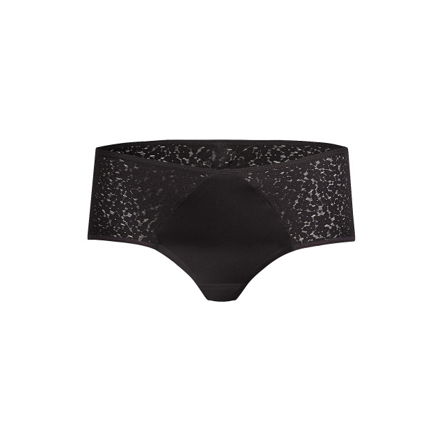 Chantelle Norah brief covering horty C13F40 large