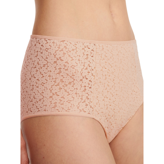 Chantelle Norah brief fu high waisted C13F30 large