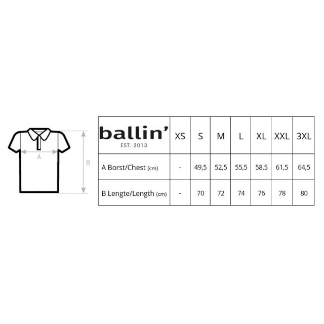 Ballin Est. 2013 Basic polo PO-H00051-ANT-XXL large