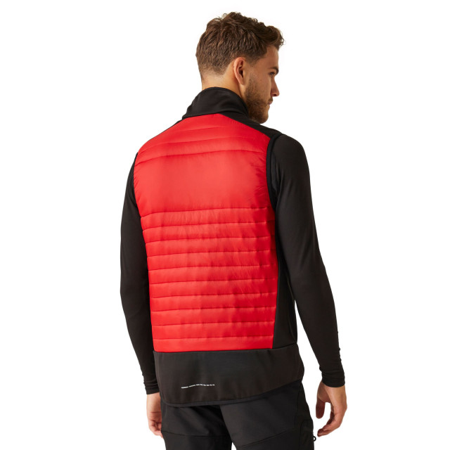 Regatta E-volve thermische hybride bodywarmer voor volwassenen UTRG10099_classicredblack large