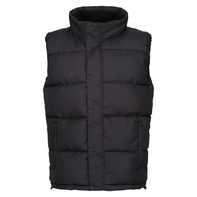 Regatta Heren northdale geïsoleerd gilet UTRG10078_black large