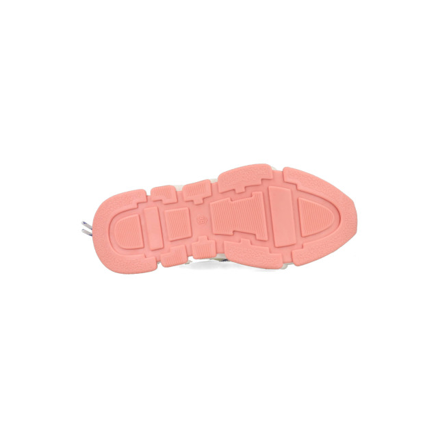 DWRS Label Chicago b10475-05-7758 / roze B10475 large DWRS Label Chicago b10475-05-7758 / roze B10475 large