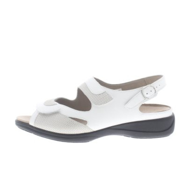 Solidus Lia h 73094-10306-H large