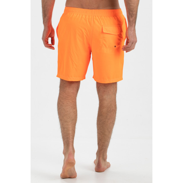 Falcon Dray dray-s-14 FALCON dray dray-s-14 large