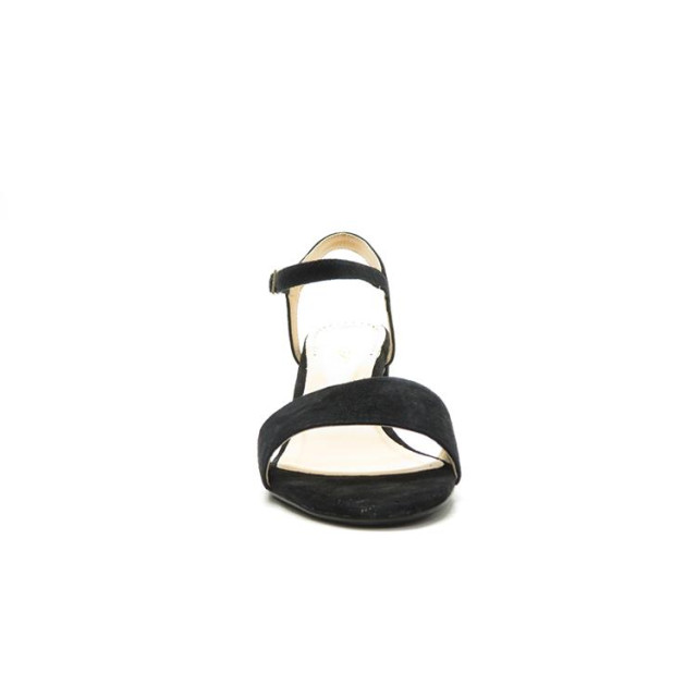 Freeflex 39238 39238 large