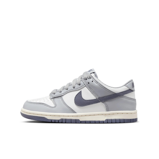 Nike Dunk low light carbon (gs) FB9109-101 large