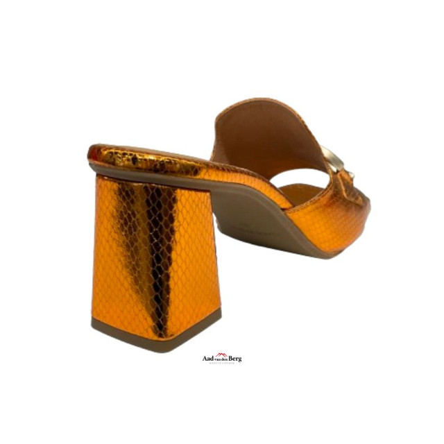 AvdB Damesschoenen slippers 42435 424 large
