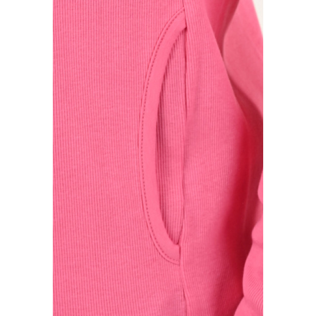 Sani Blu Vest roze large