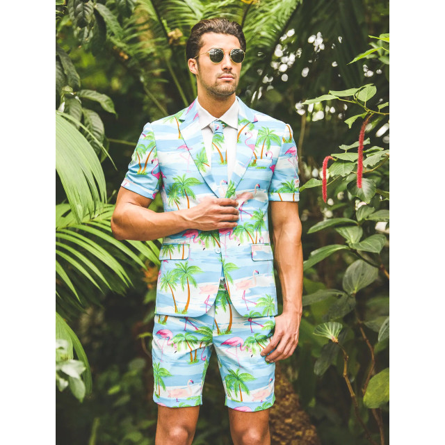 OppoSuits Summer flaminguy OSUM-0007 large
