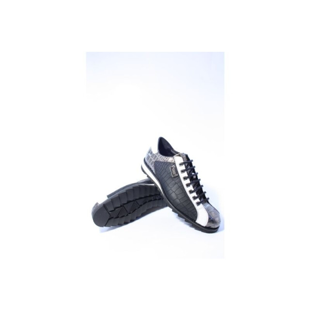 Harris 2817/p veter sportief 2817 large