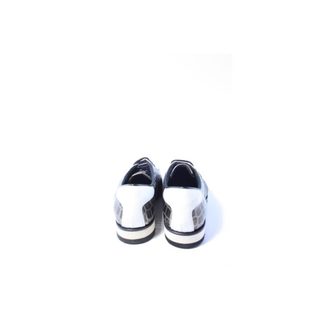 Harris 2817/p veter sportief 2817 large