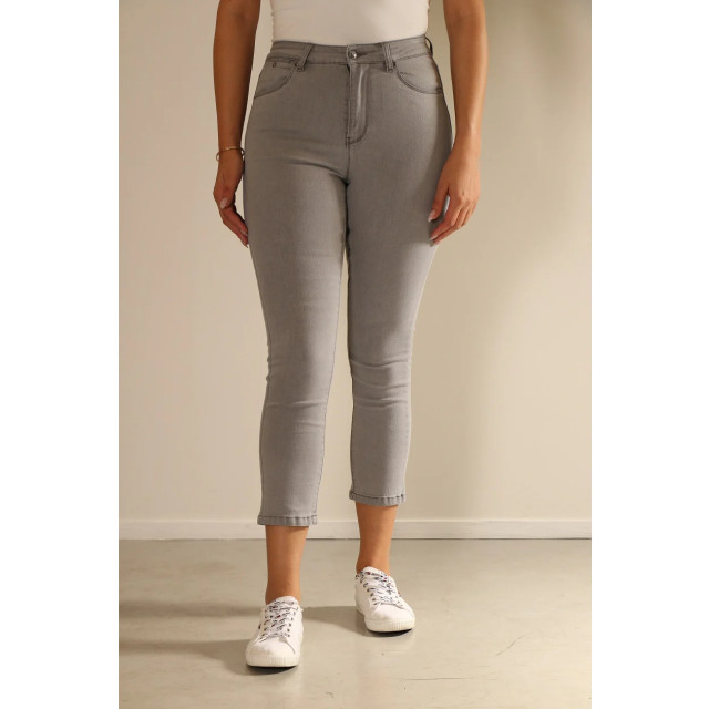 New-Star New orlean dames slim-fit jeans grey denim New Star NewOrlean Grey Denim large