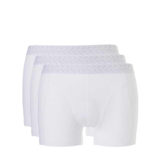 Ten Cate 30229 basic short 3-pack - 30229 001 wit large