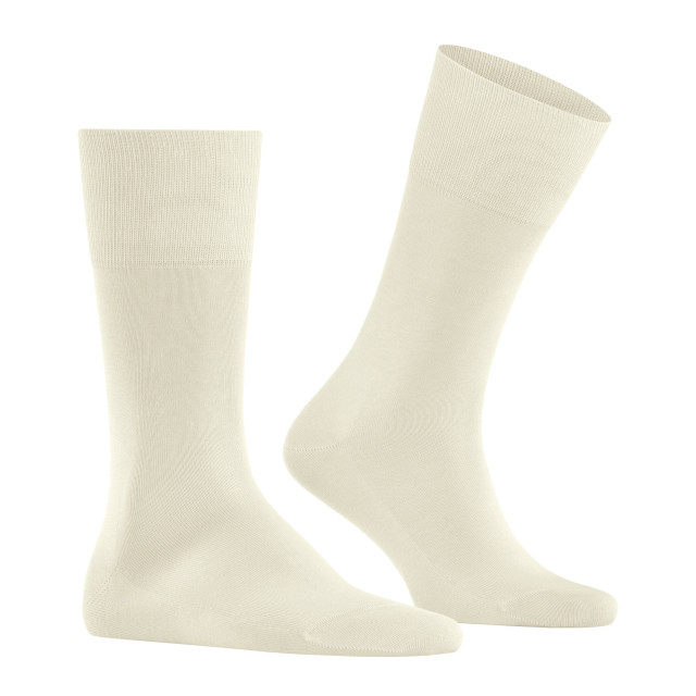Falke Sokken 095345-001-4142 large