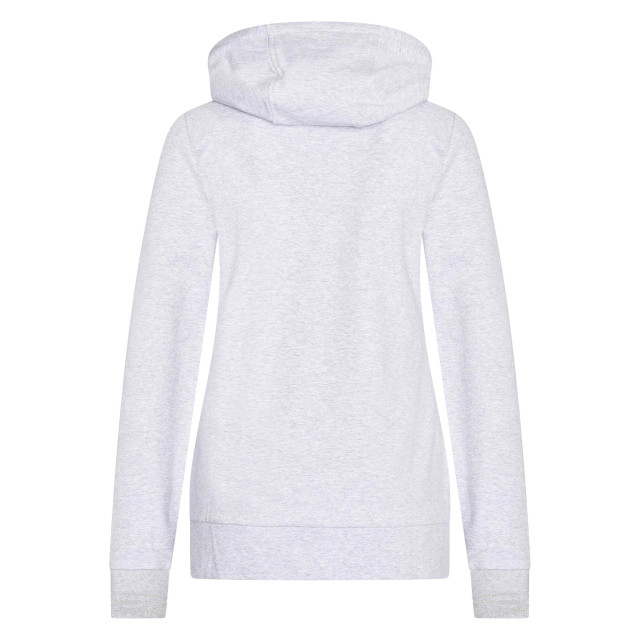 HV Polo Hoodie hvpgoldie 0409093505_7105 large