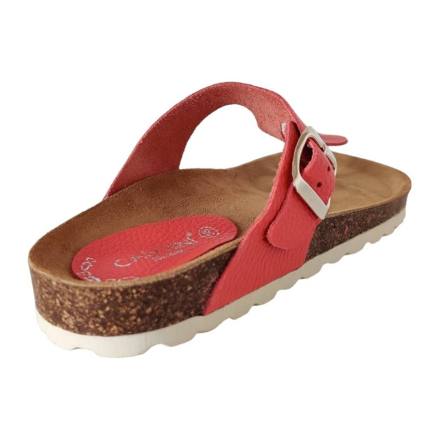 Casarini 24502 slipper 24502 large