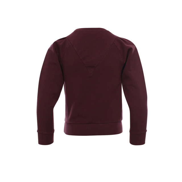 Looxs Revolution Sweater prune voor meisjes in de kleur 2232-5340-601 large