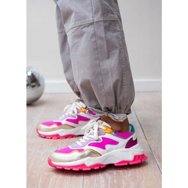 DWRS Label Chester B10649-06 large