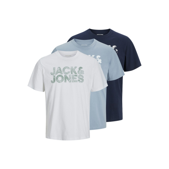 Jack & Jones Jwhfloral brand tee ss crew neck 3p 12260945 large