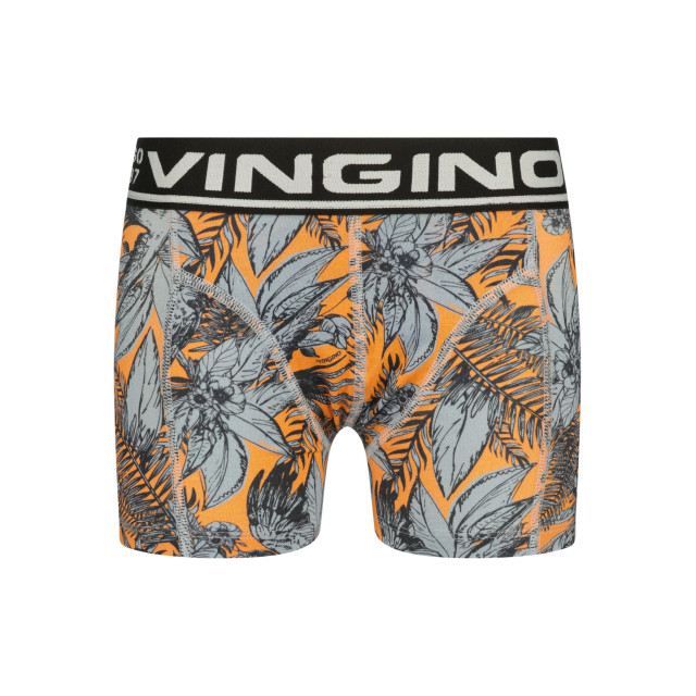 Vingino Jongens ondergoed 2-pack boxers leaf deep 151219229 large