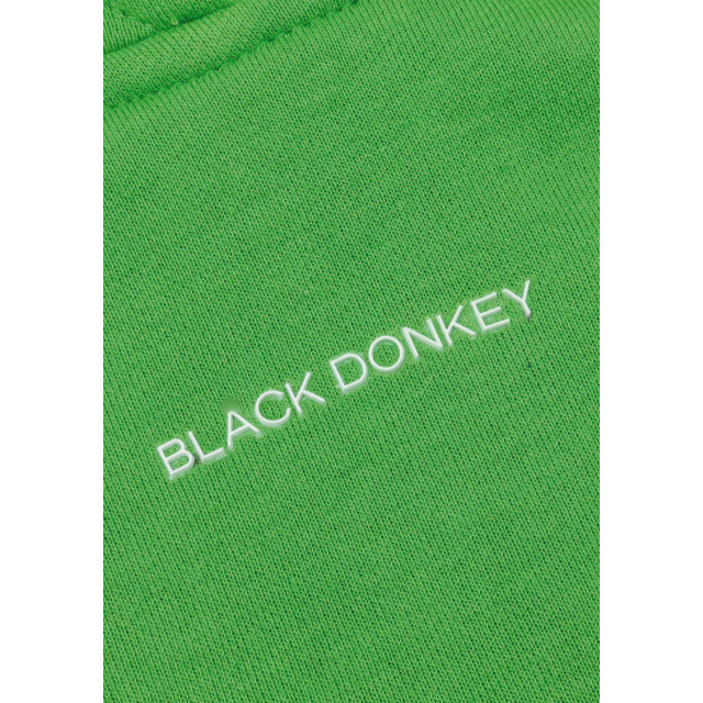 Black Donkey Varsity short i mintgreen CH4-VCVS-MG large