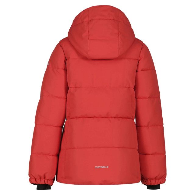 Icepeak Loris skijas 128986 large
