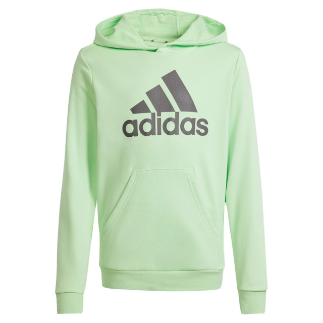 Adidas Big logo essentials hoodie 129978 large