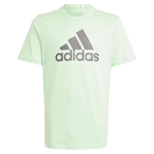 Adidas Essentials big logo t-shirt 129964 large