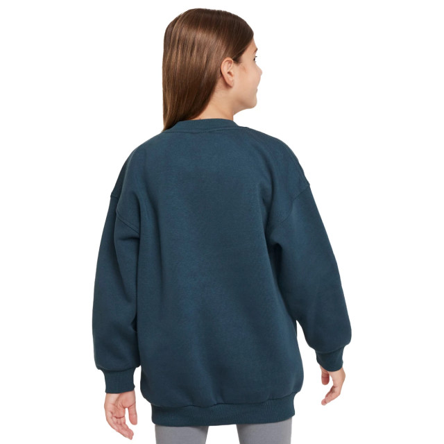 Nike Sportswear club fleece sweater 127643 large