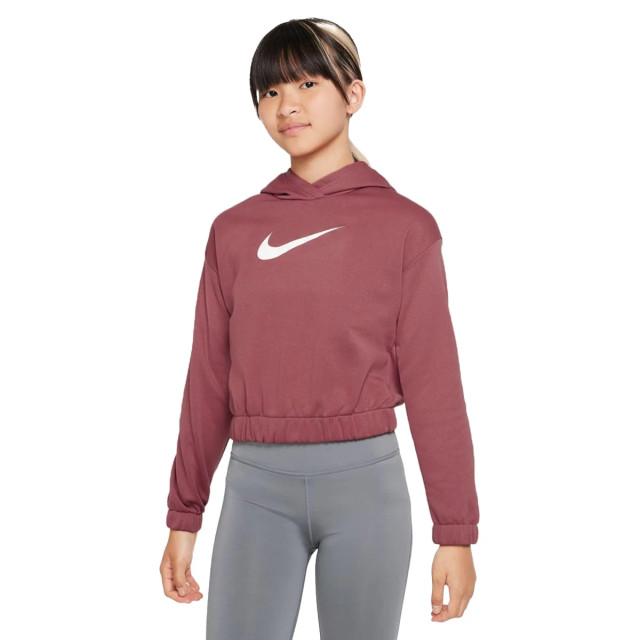 Nike Therma-fit hoodie 124115 large