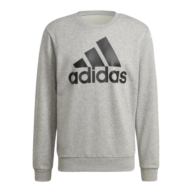 Adidas Essentials big logo sweatshirt 118249 large