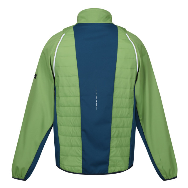 Regatta Heren steren ii softshell hybride jas UTRG10503_piquantgreenmoroccanbluecitronlime large