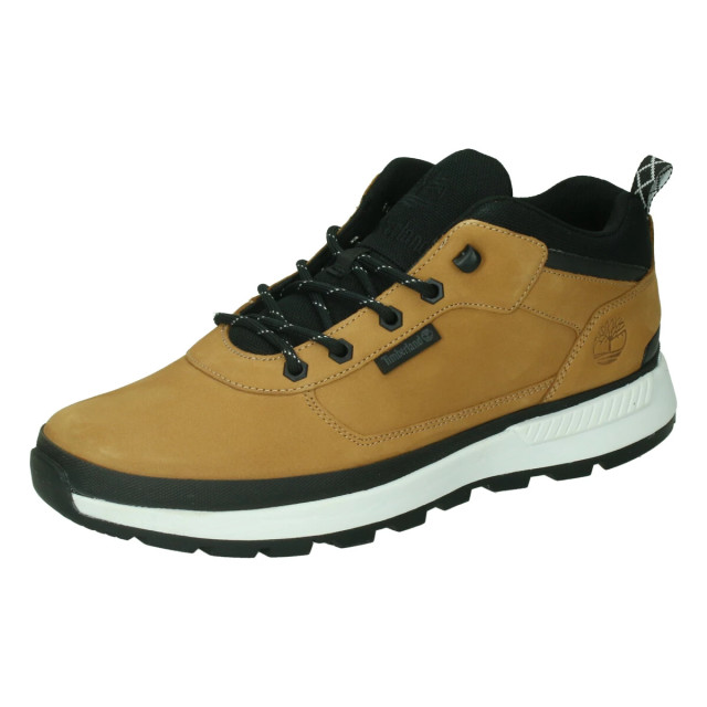 Timberland Field trekker low 127495 large