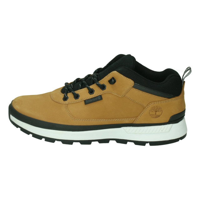 Timberland Field trekker low 127495 large