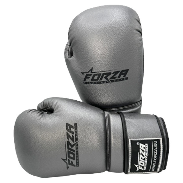 Forza Artificial 75 leren bokshandschoenen 129219 large