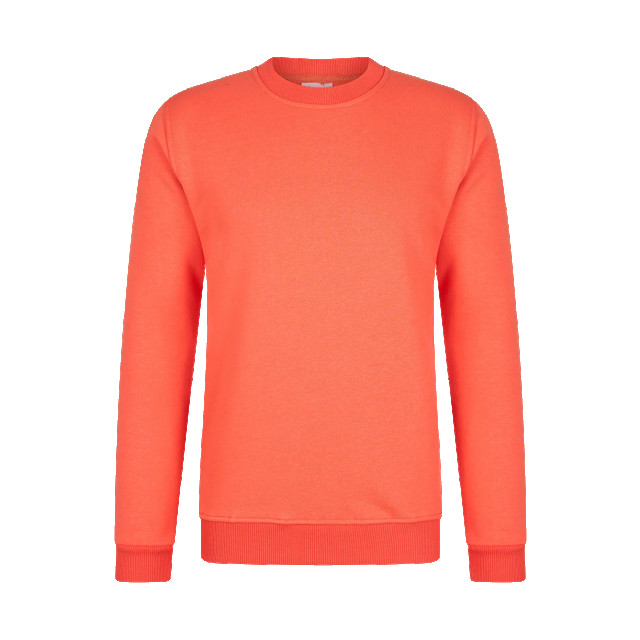 Hønk Sweatshirt PUPSWE23 large