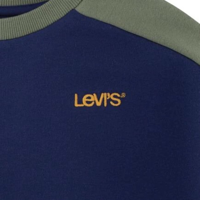 Levi's Logo colorblock crew dessin 3209.39.0053 large