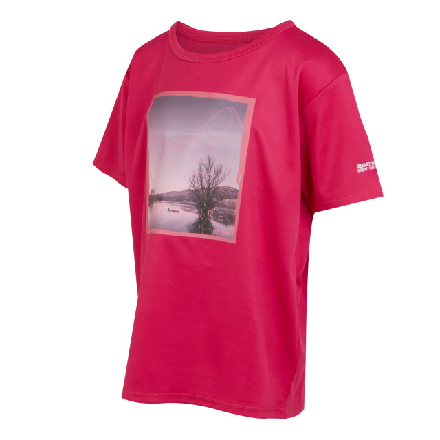 Regatta Kinderen/kinderen alvardo viii landschap t-shirt UTRG10277_pinkpotion large