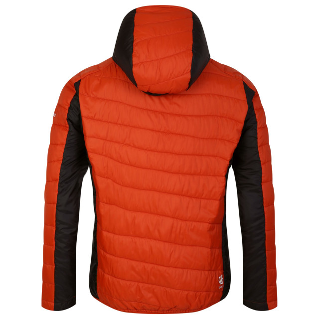 Dare2b Heren touring gewatteerd jack UTRG10287_rooibosteapuffinsorange large Dare2b Heren touring gewatteerd jack UTRG10287_rooibosteapuffinsorange large