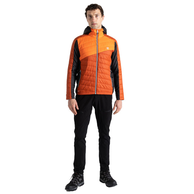 Dare2b Heren touring gewatteerd jack UTRG10287_rooibosteapuffinsorange large Dare2b Heren touring gewatteerd jack UTRG10287_rooibosteapuffinsorange large